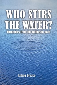 WHO STIRS THE WATER?: Chronicles from the Bethesda pool
