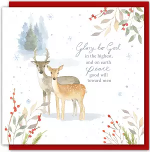 Winter Deer (Pack of 5) Christmas Cards