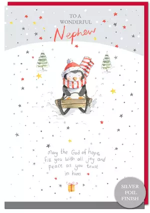 Nephew Penguin Christmas Card