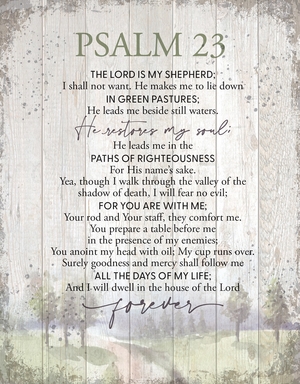 Wall Plaque-Timberland Art 11.75X15-Psalm 23