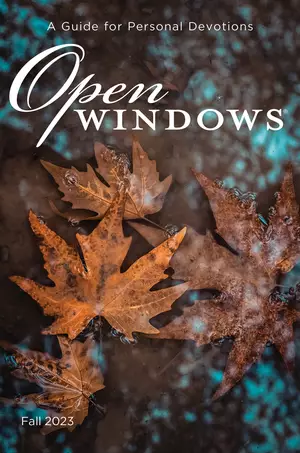 Open Windows Large Print - Fall 2023