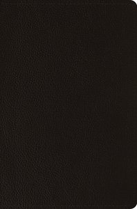 ESV Compact Bible (Buffalo Leather, Deep Brown)