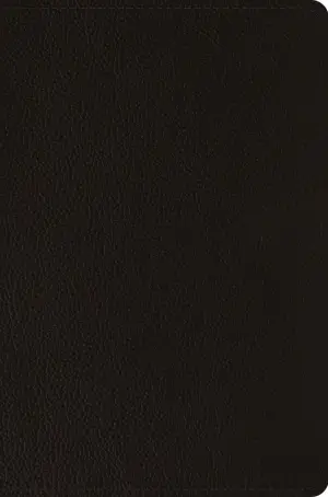 ESV Compact Bible (Buffalo Leather, Deep Brown)