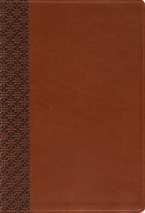 Amplified Holy Bible, Large Print, Leathersoft, Brown