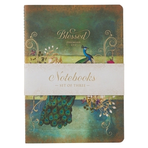 Notebook Set 3pc LG Blue/Green, Blue Jer. 17:7, Cream