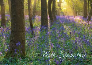 With Sympathy - May it comfort you to know...