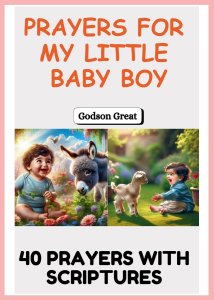 Prayers for My Little Baby Boy: A Heartfelt Collection of Bible-Based Prayers, Blessings, and Spiritual Covering for Your Baby Boy's Growth, Protectio