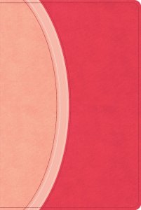 CSB Rainbow Study Bible, Pink Leathertouch (Limited Edition)