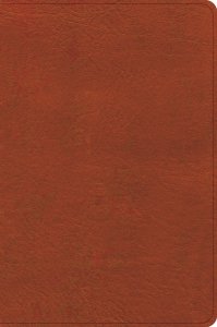 CSB Study Bible, Personal Size Edition, Burnt Sienna