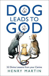 The Dog Walker's Guide to God