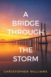 A Bridge Through the Storm