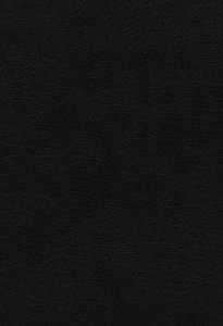 NIV, Quest Study Bible, Large Print, Bonded Leather, Black, Thumb Indexed, Comfort Print