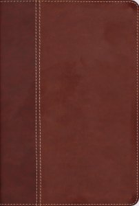 NIV, Cultural Backgrounds Study Bible (Context Changes Everything), Leathersoft, Brown, Red Letter, Thumb Indexed