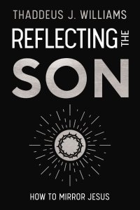 Reflecting the Son
