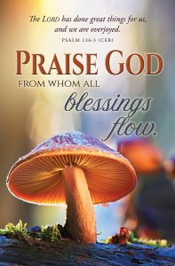 Praise God from Whom Fall Bulletin (pack of 100)