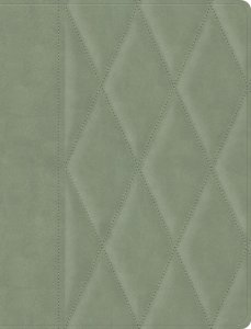 CSB Notetaking Bible, Large Print Edition, Sage Suedesoft