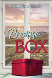 The Promise Box: 365 Days with God