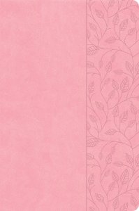 CSB Large Print Thinline Bible, Value Edition, Soft Pink