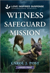 Witness Safeguard Mission