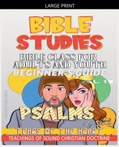 Bible Class for Adults and Youth: Beginner's Guide: Psalms