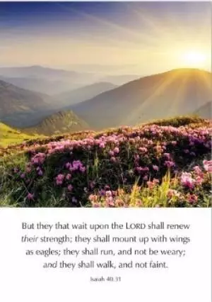 But they that wait upon the LORD - Isaiah 40.31