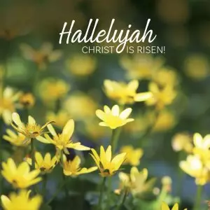 Hallelujah Flowers Easter Card (Pack of 5)