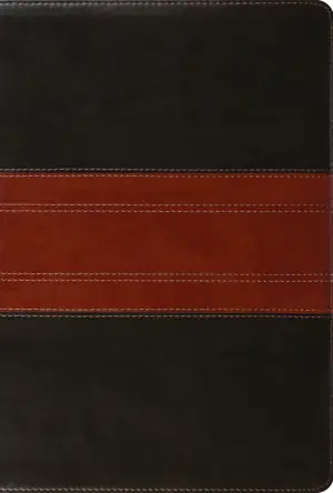 ESV Men's Study Bible (TruTone, Forest/Tan, Trail Design)