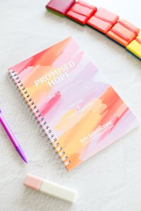 Promised Hope: The Gospel of Luke (2nd Edition) Journal & Colouring Books