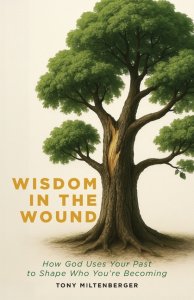 Wisdom in the Wound: How God Uses Your Past to Shape Who You're Becoming