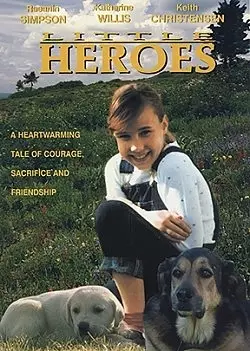 Little Heroes DVD