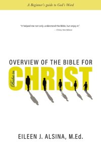 Overview of the Bible for Babes in Christ: A Beginner's guide to God's Word