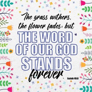 Word Of God Seeded Card