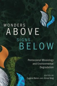 Wonders Above, Signs Below: Pentecostal Missiology and Environmental Degradation