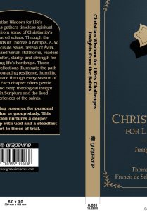Christian Wisdom for Life's Challenges: Insights from the Saints