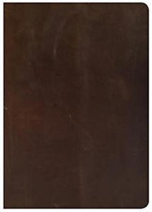 CSB She Reads Truth Bible, Brown Genuine Leather, Indexed