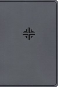 CSB Large Print Thinline Bible, Value Edition, Charcoal