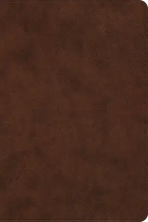 ESV Holy Bible: Dyslexia-Friendly Edition