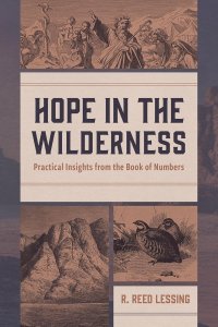 Hope In The Wilderness