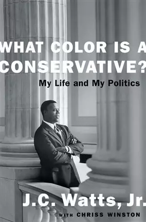 What Color Is a Conservative?