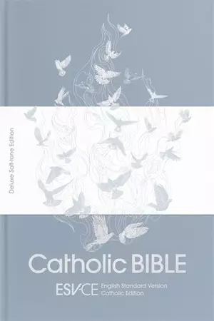 ESV-CE Catholic Bible, Grey, Hardback, Deuterocanonical Books, Anglicised, Footnotes, Maps