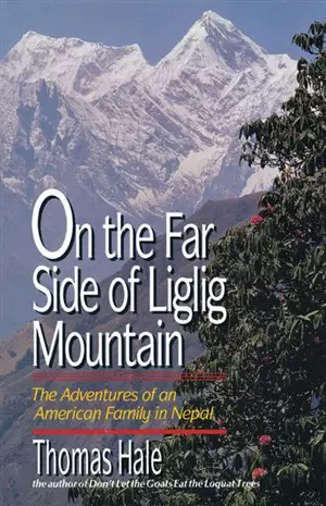 On The Far Side Of Liglig Mountain