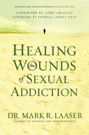 Healing the Wounds of Sexual Addiction paperback