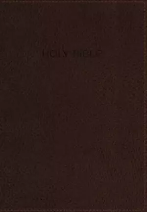 NIV, Foundation Study Bible, Imitation Leather, Brown, Indexed, Red Letter Edition