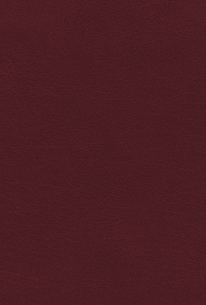 NIV, KJV, NASB, Amplified, Parallel Bible, Bonded Leather, Burgundy