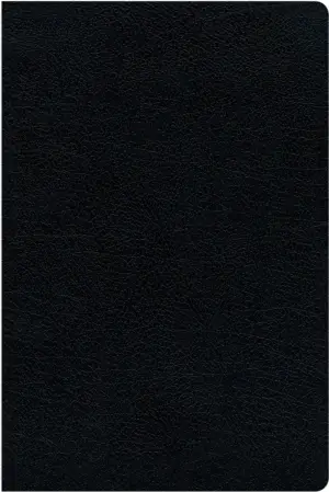 KJV, Amplified, Parallel Bible - Large Print, Bonded Leather, Black, Red Letter Edition