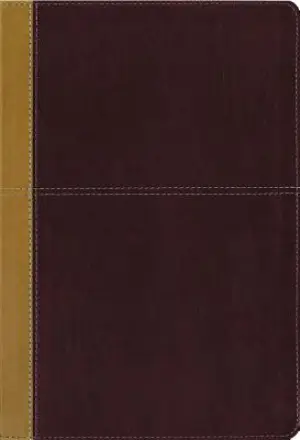 KJV, Amplified, Parallel Bible, Large Print