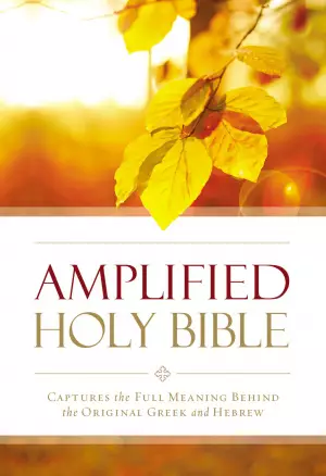 Amplified Outreach Bible, Paperback,God's Promises and Perspectives from the Bible, Double-Column Format