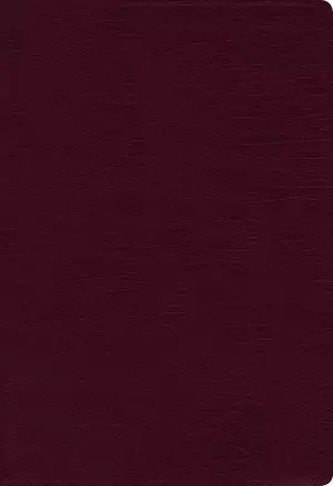 NIV, Thinline Bible, Bonded Leather, Burgundy, Indexed, Red Letter Edition