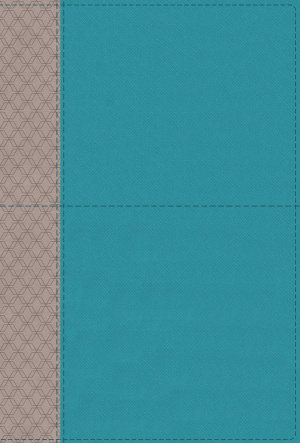 NIV Study Bible, Fully Revised Edition (Study Deeply. Believe Wholeheartedly.), Leathersoft, Teal/Gray, Red Letter, Comfort Print