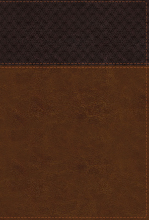 NIV Study Bible, Fully Revised Edition (Study Deeply. Believe Wholeheartedly.), Large Print, Leathersoft, Brown, Red Letter, Thumb Indexed, Comfort Print